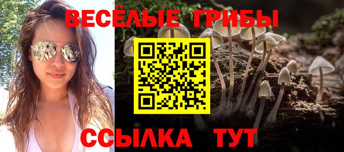 Галлюциногенные грибы Psilocybe Каспийск