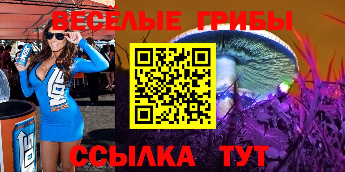 Галлюциногенные грибы Psilocybe  где найти   Каспийск  Псилоцибиновые грибы прущие грибы  Вход с VPN 
